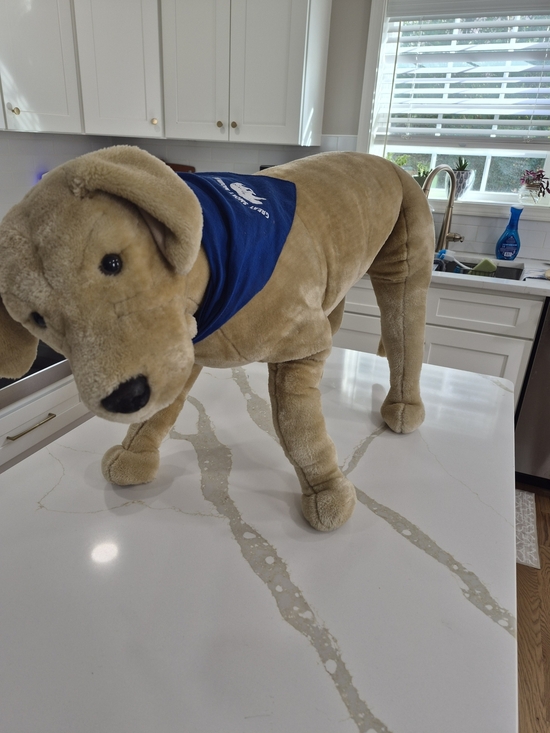 Melissa & Doug Other - Melissa & Doug Tan Plush Dog with Royal Blue Bandana